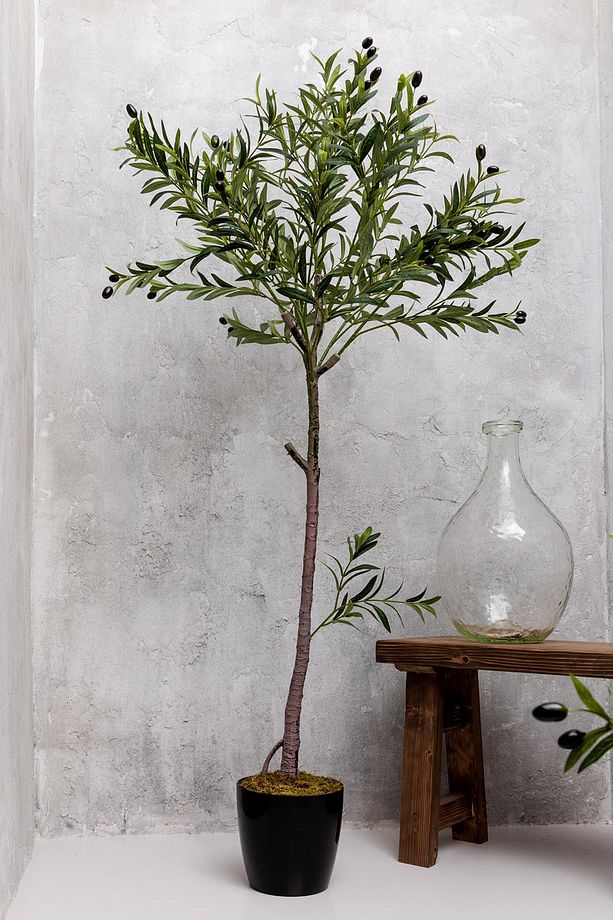 Yapay Zeytin Ağacı 160 cm Tek Gövdeli Doğal Gerçek Görünümlü Yapay Ağaç - 3