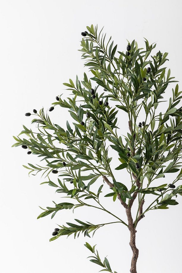 Yapay Zeytin Ağacı 175 cm Tek Gövdeli Doğal Gerçek Görünümlü Yapay Ağaç - 4