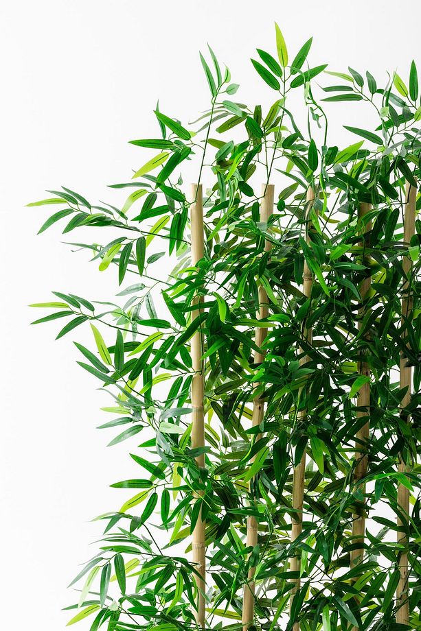 Yapay Bambu Seperatör Ahşap Antrasit Saksı 175 Cm - 6