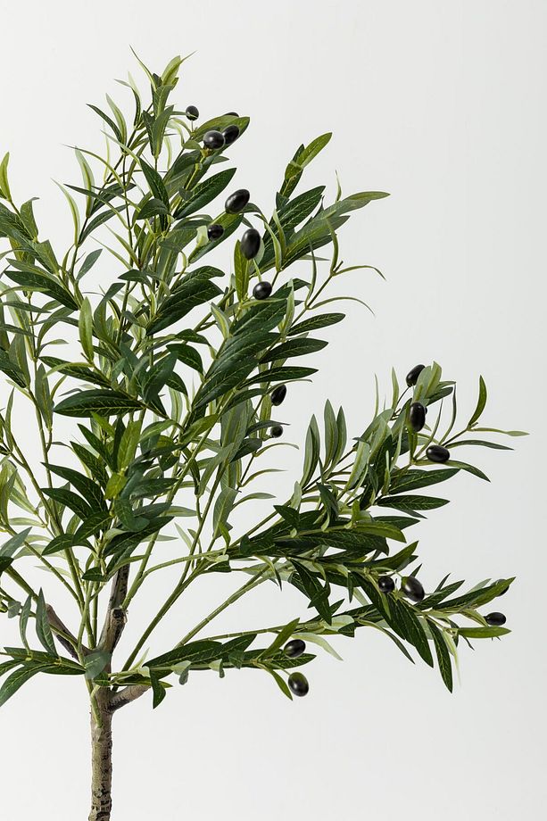 Yapay Zeytin Ağacı 160 cm Tek Gövdeli Doğal Gerçek Görünümlü Yapay Ağaç - 5