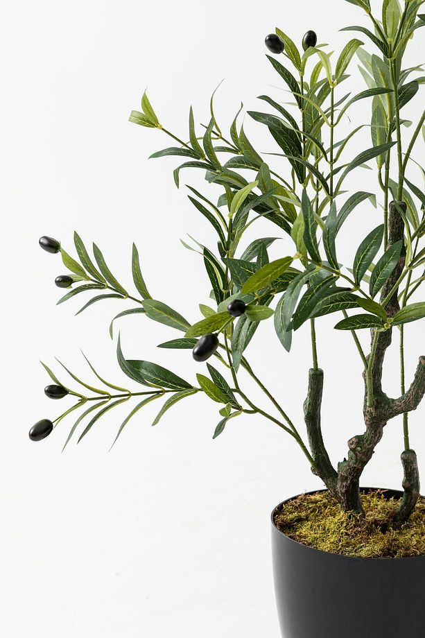 Yapay Zeytin Ağacı 85 cm  Tek Gövdeli  Doğal Gerçek Görünümlü Yapay Ağaç - 6