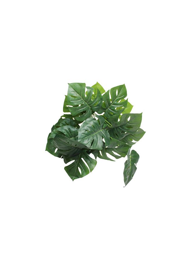 Yapay Salon Köşe Çiçeği 65 Cm Devetabanı (SAKSISIZ) - 3
