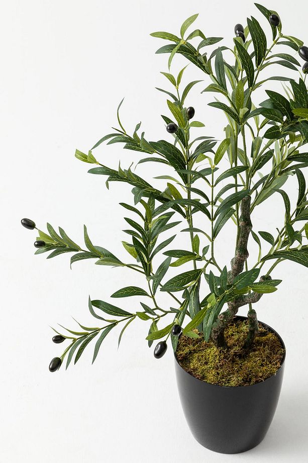 Yapay Zeytin Ağacı 85 cm  Tek Gövdeli  Doğal Gerçek Görünümlü Yapay Ağaç - 4