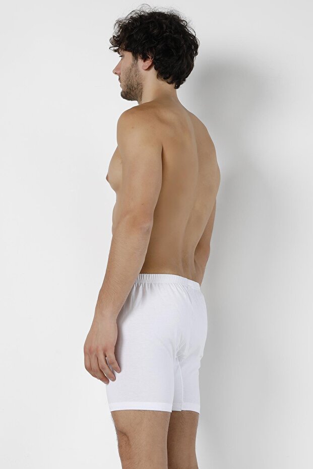 Erkek Arjantin Boxer - 8