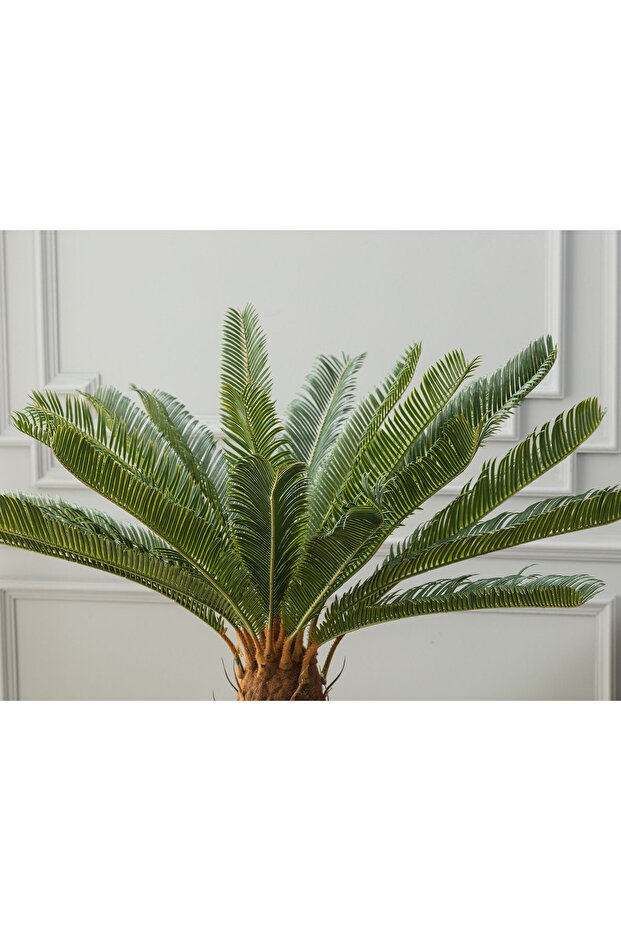 Montagne Saksılı Bitki - 2