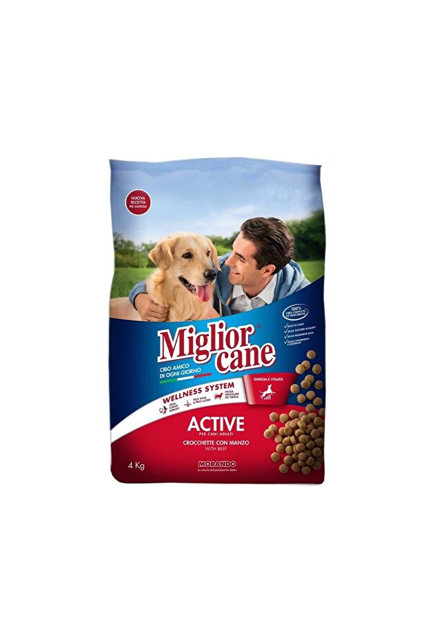 Croquettes Active with Beef, 4kg - 1