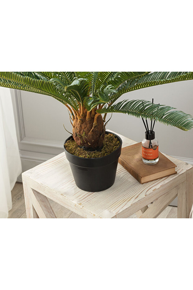 Montagne Saksılı Bitki - 3