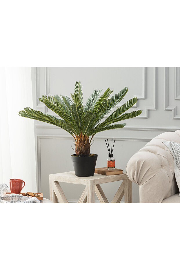 Montagne Saksılı Bitki - 1