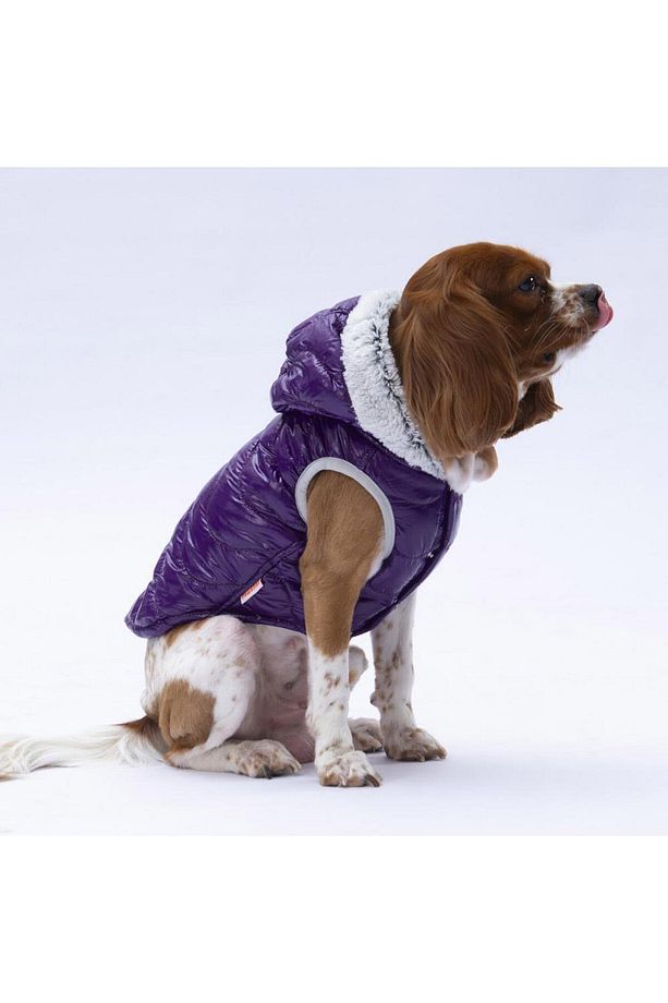Mor Light Wave Anorak Yelek Köpek Yeleği Köpek Kıyafeti Köpek Yağmurluk - 3