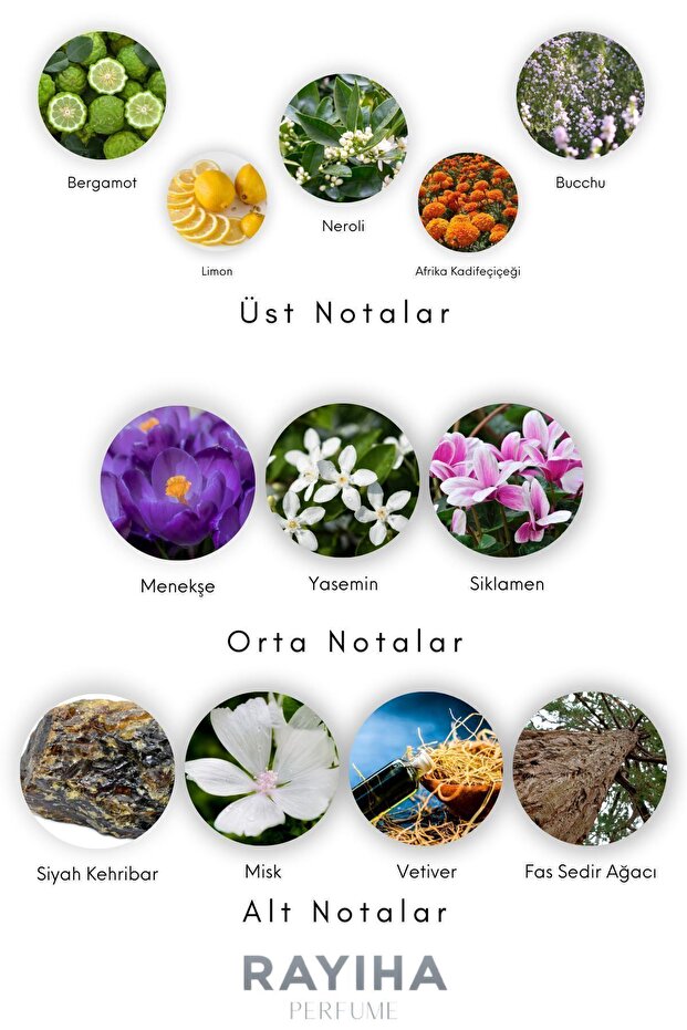 N26=BYREDO (D'AFRQUE) - 2