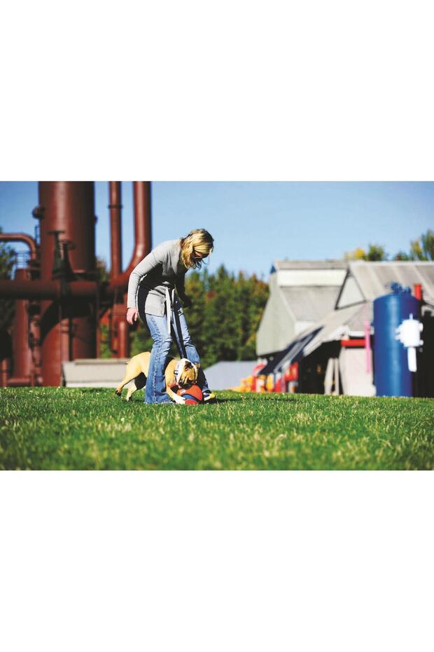 !كرة لعب كيك فيتش - 6