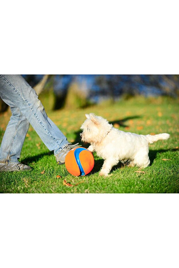 !كرة لعب كيك فيتش - 5