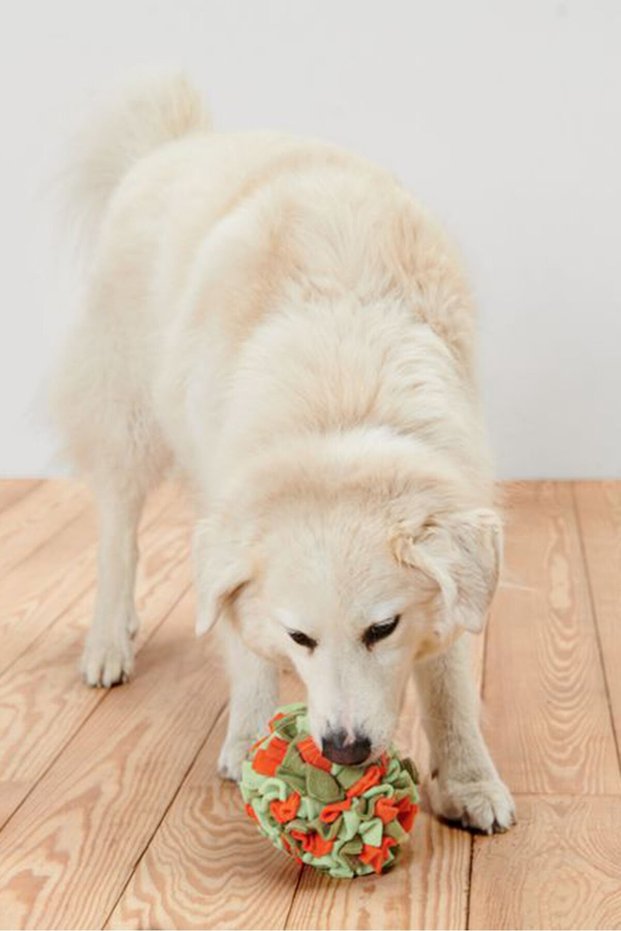 Sniff Ball, Olive