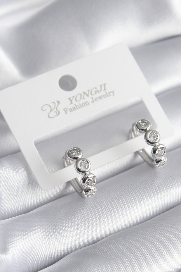Brass Silver Color Zircon Stone Women's Earrings