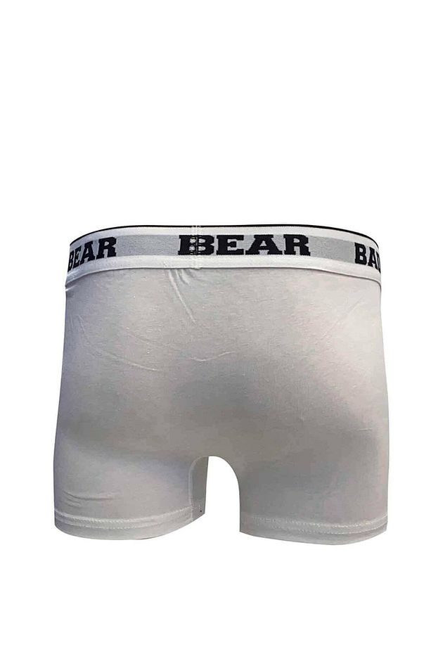 Erkek Boxer Basic - 2
