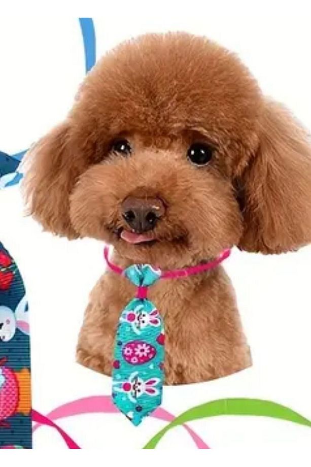 Kedi Köpek desenli kravat tasma ayarlanabilir 1 adet rastgele desen - 1