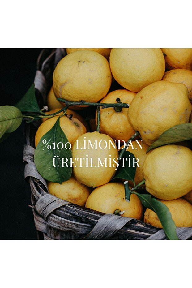 Limonata Taze Soğuk Sıkım 250ml X 8 Adet - 4