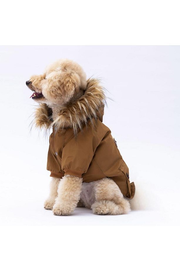 Camel Charles Köpek Mont Köpek Yağmurluk Köpek Kıyafeti Köpek Elbisesi - 3
