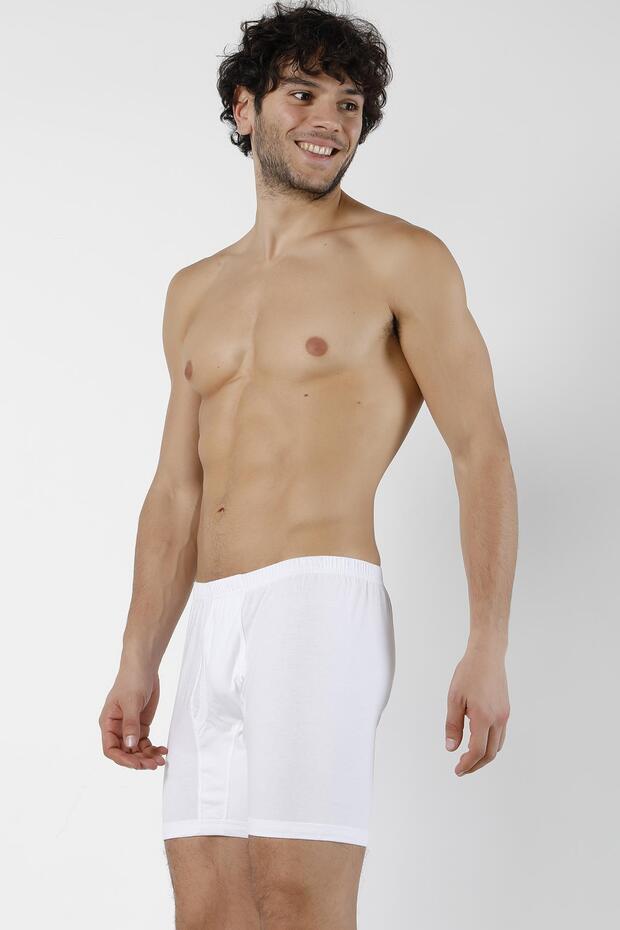 Erkek Arjantin Boxer - 4