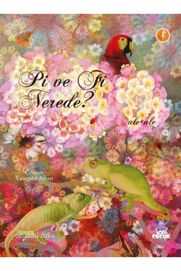 Pi ve Fi Nerede?