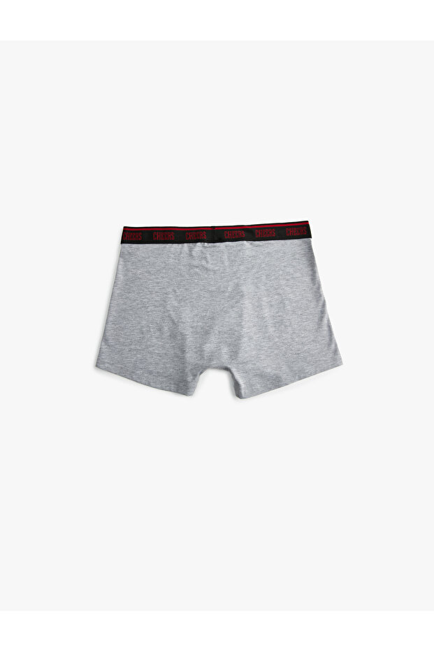 Baskılı Pamuklu 3'lü Boxer Seti - 8