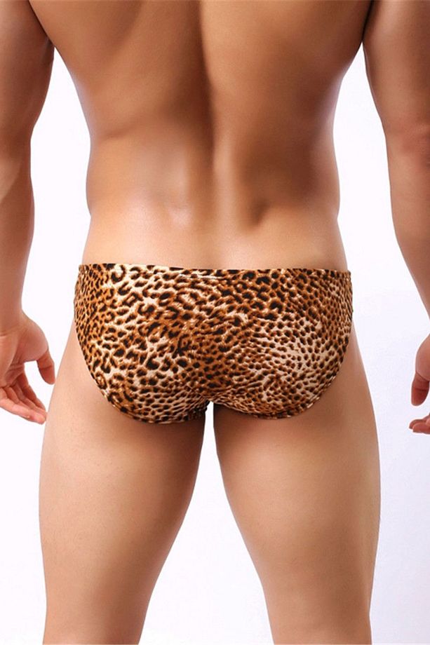 Leopar Desenli Erkek Slip - 3