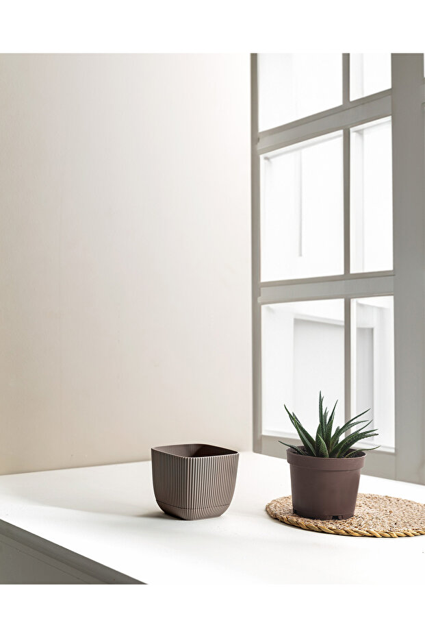 Abella Saksı 270 ml - 3