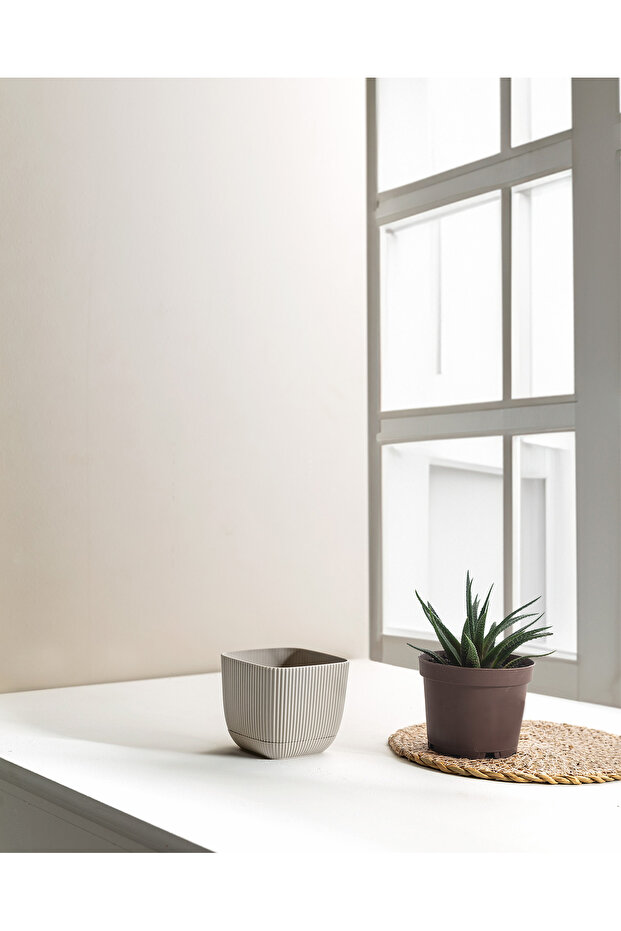 Abella Saksı 270 ml - 3