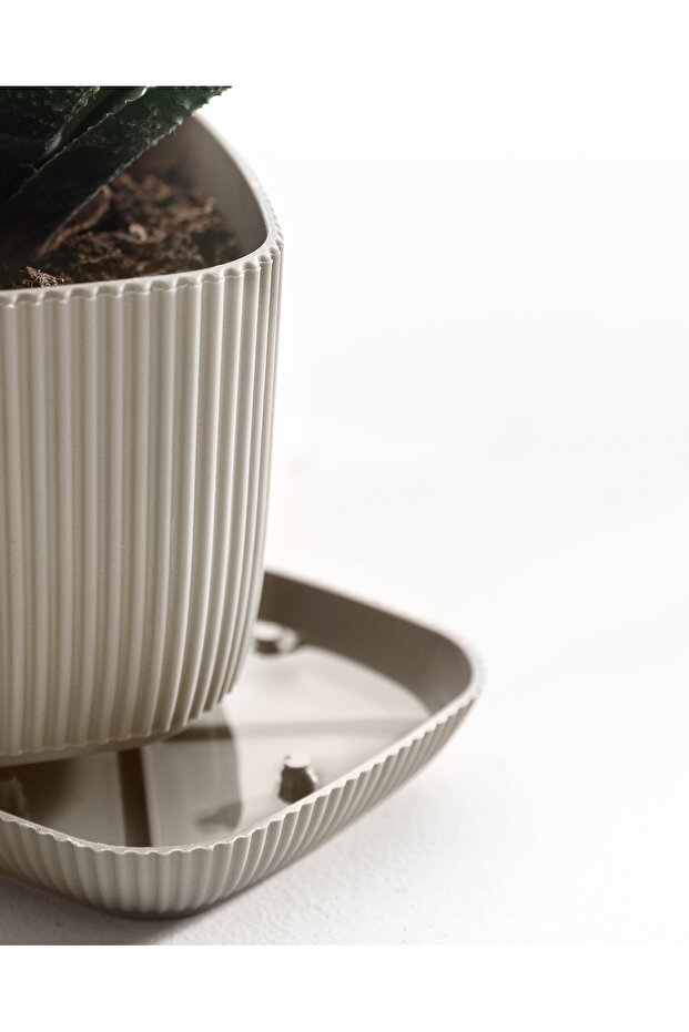 Abella Saksı 270 ml - 4