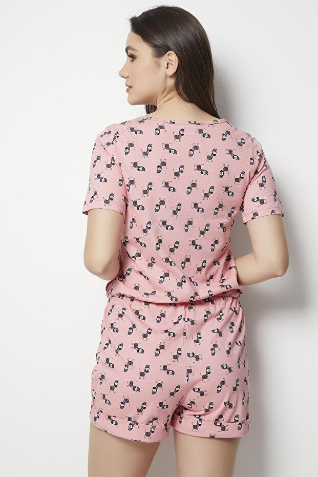 Funky Zebra Tulum - 8