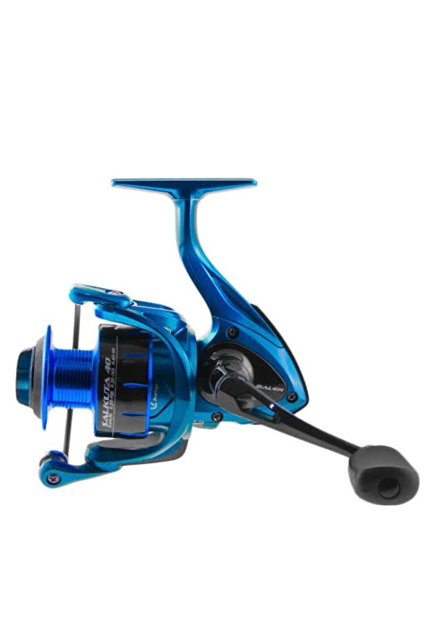 Модель Salkuta №: 40 - 1