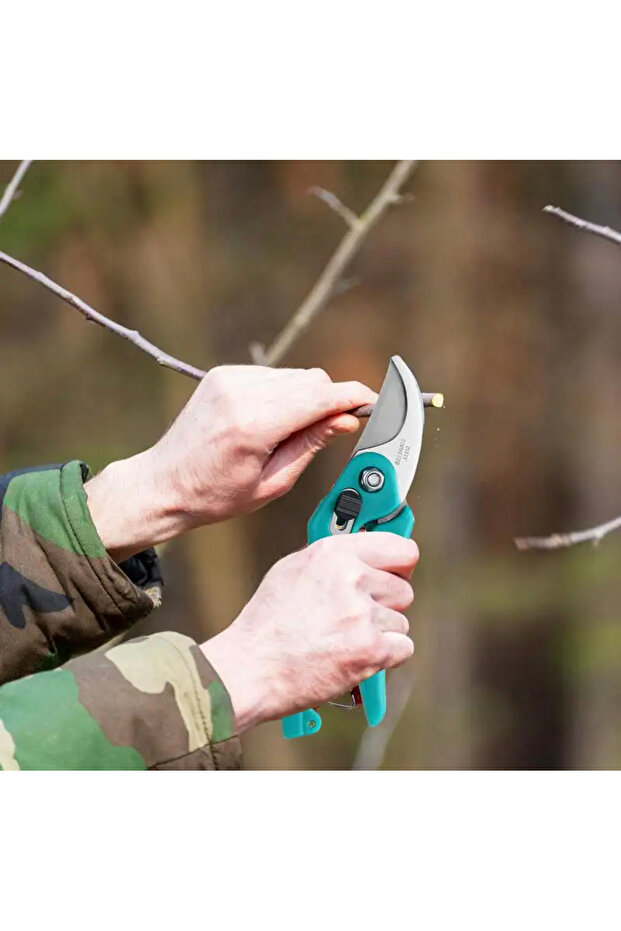 Garden Branch Pruning Shears - 7