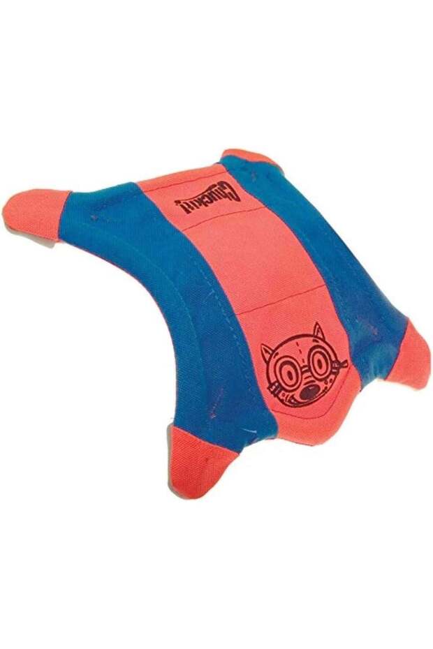 ! سنجاب فريزبي (حجم صغير) - 1