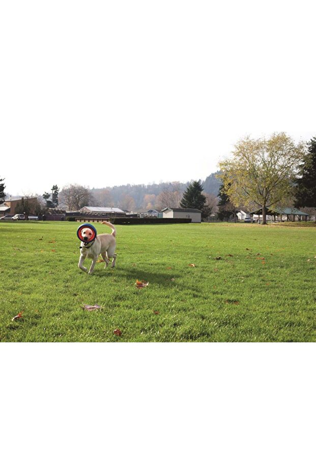 !حلقة لعب عجلة فيتش (حجم صغير) - 5