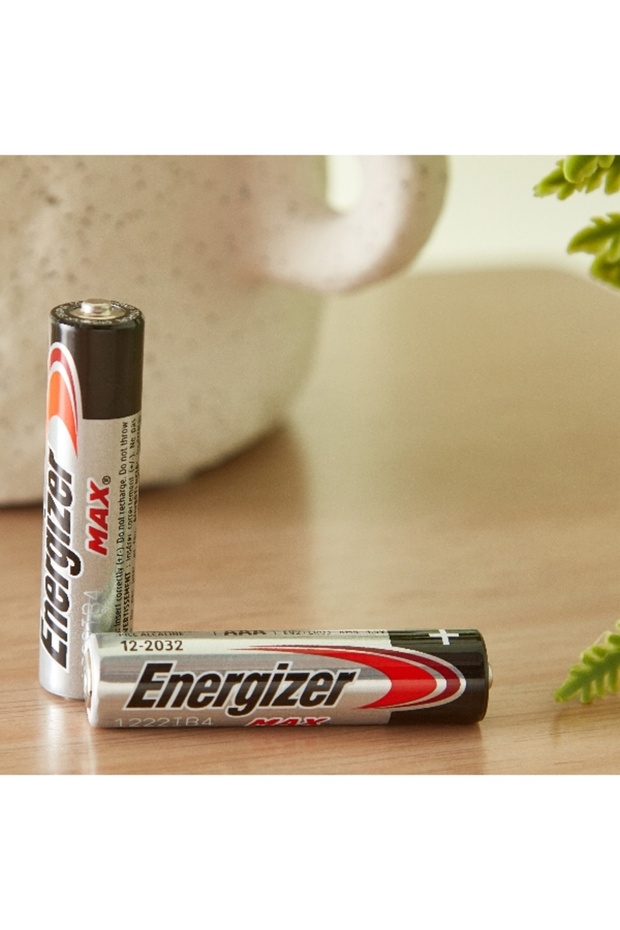 2-Piece MAX AAA Alkaline Battery - 2