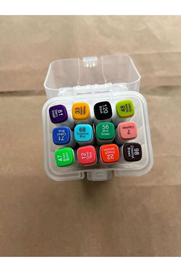 Double Sided Marker Set of 12 Special Mica Marker with Carrying Bag
