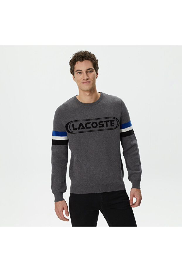 Men's Regular Fit Long Sleeve Crew Neck Color Blocked Dark Gray Knitwear