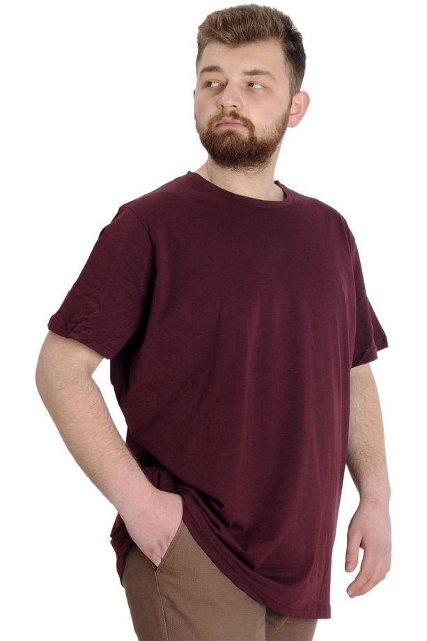 Mode Xl Büyük Beden Erkek Tshirt Bisiklet Yaka Basic 20031 Mürdüm - 3