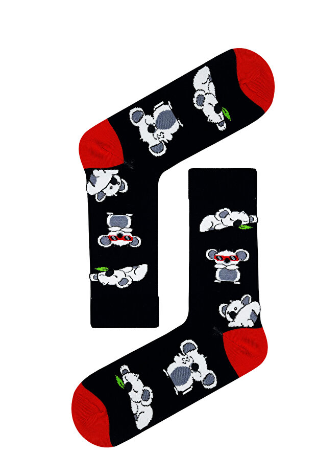 Multiple Koala Patterned Colorful Socks - 1