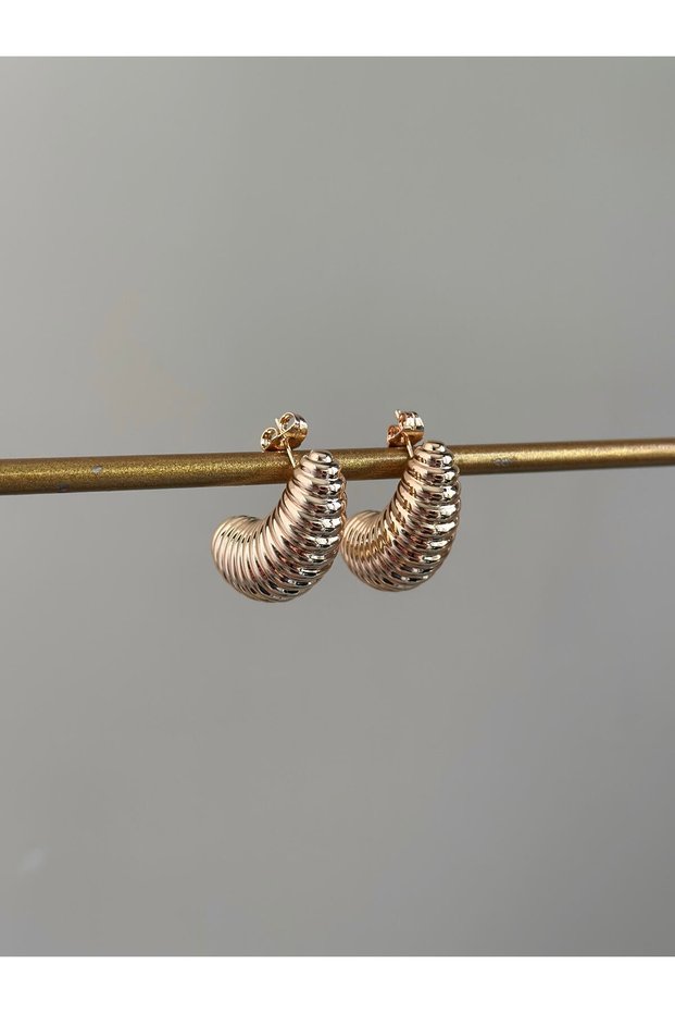 New Season Steel Rose Caterpillar Earrings
