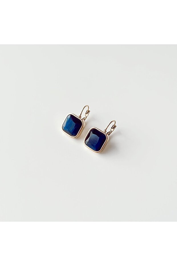 Navy Steel Earring | Steel Earrings