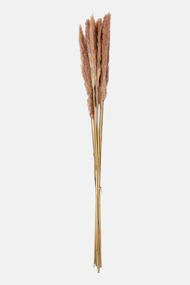 Artificial Decoration Feather 72 H cm, Assorted - 1