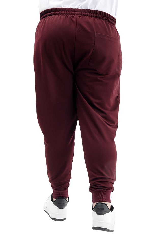 Mode XL Büyük Beden Eşofman Altı Dar Paça Zippered 22501 Mürdüm - 4