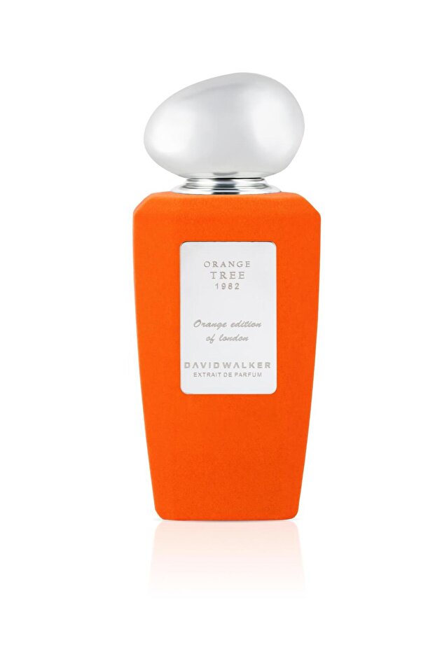 ORANGE TREE 1982 100 ml Parfüm | Citrus - 5
