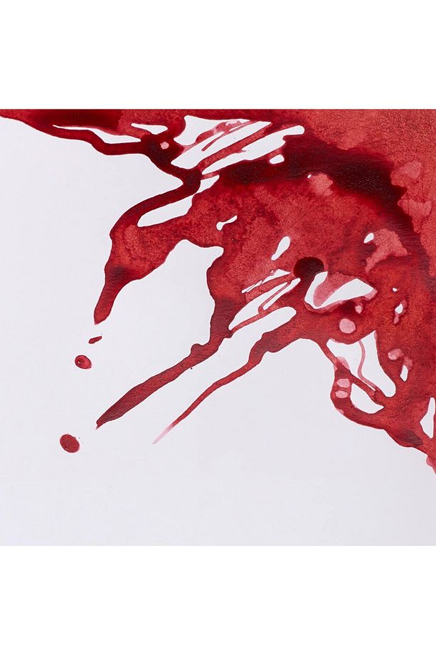Winsor & Newton Drawing Ink Çizim Mürekkebi 14ml Brick Red 040 - 2