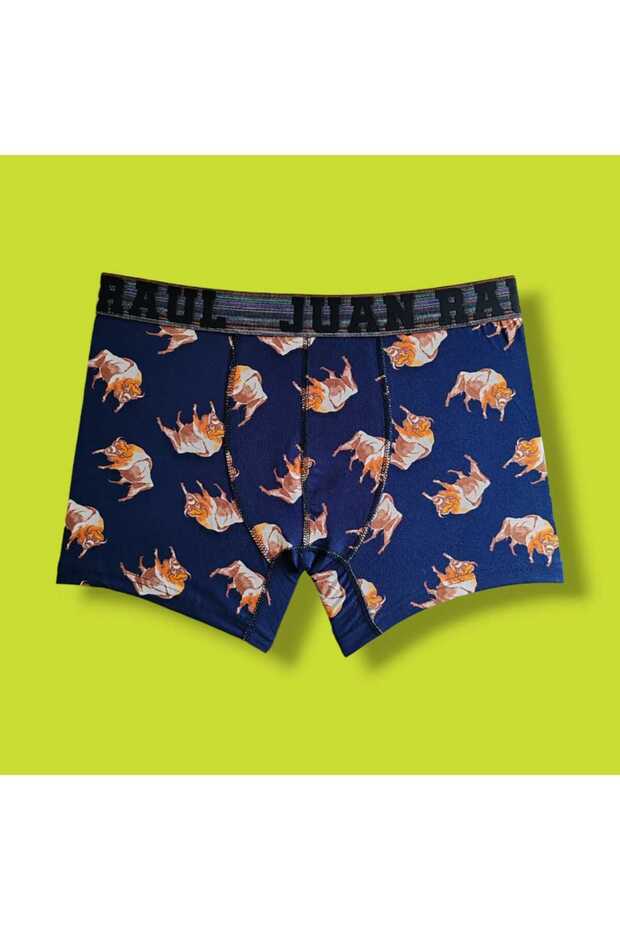 Men's Boxer Briefs Bow Tie Panties Comfort Flex Soft and Breathable Cotton Coton Underwear Boxers