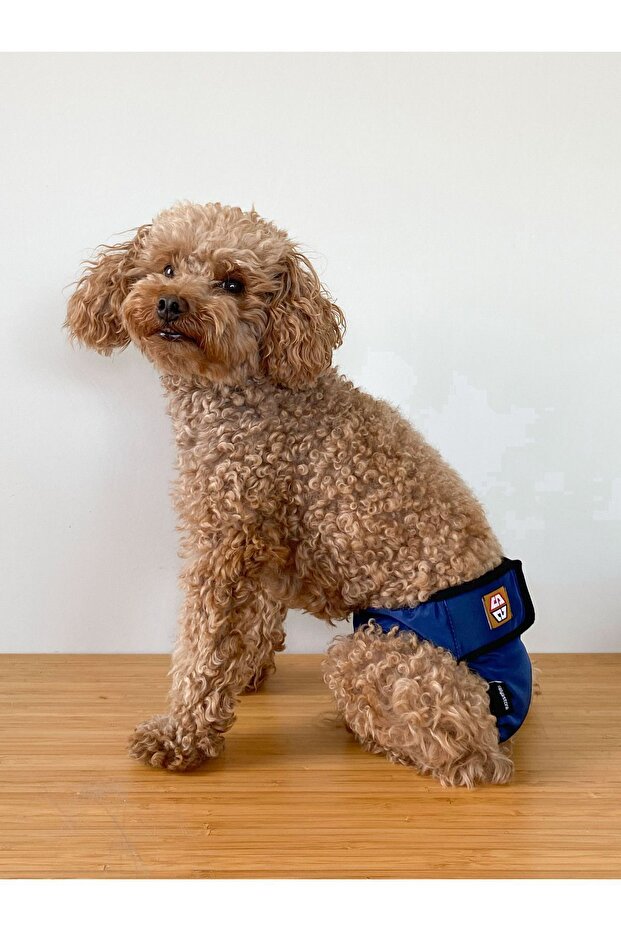 Blue Dog Menstrual Panties, Female Dog Pee Diaper