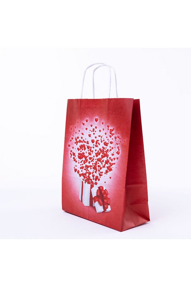 Büküm saplı kağıt poşet, 18x8x24, Kalpli 3 adet - 1