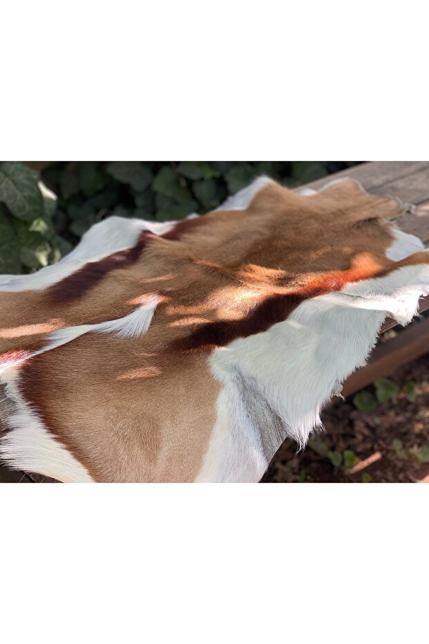 A4 Tüylü Hakiki Ceylan Derisi - 1