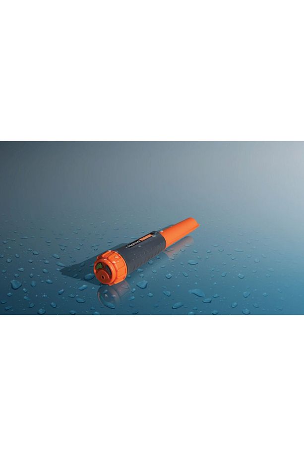 Pointer - 1